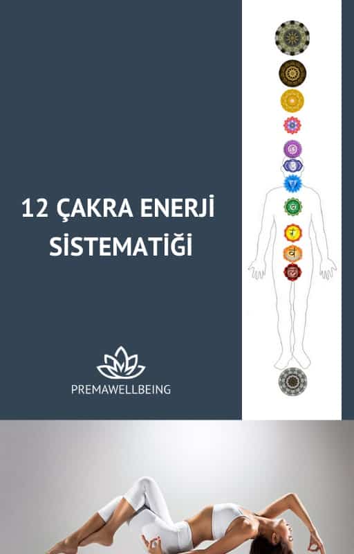 12 Çakra Eğitim Tanıtım PDF